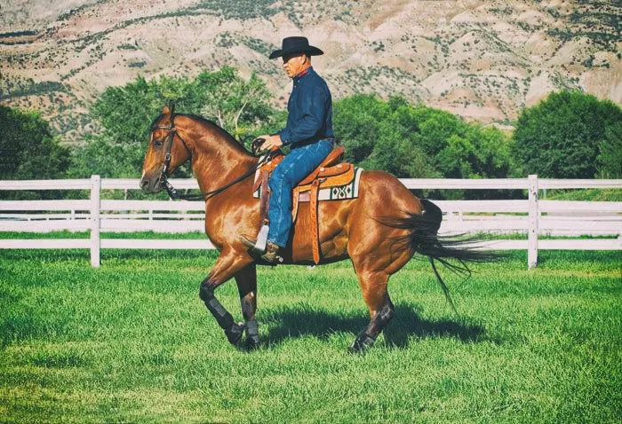 John Lyons riding a chestnut horse with Colorado mesa backdrop