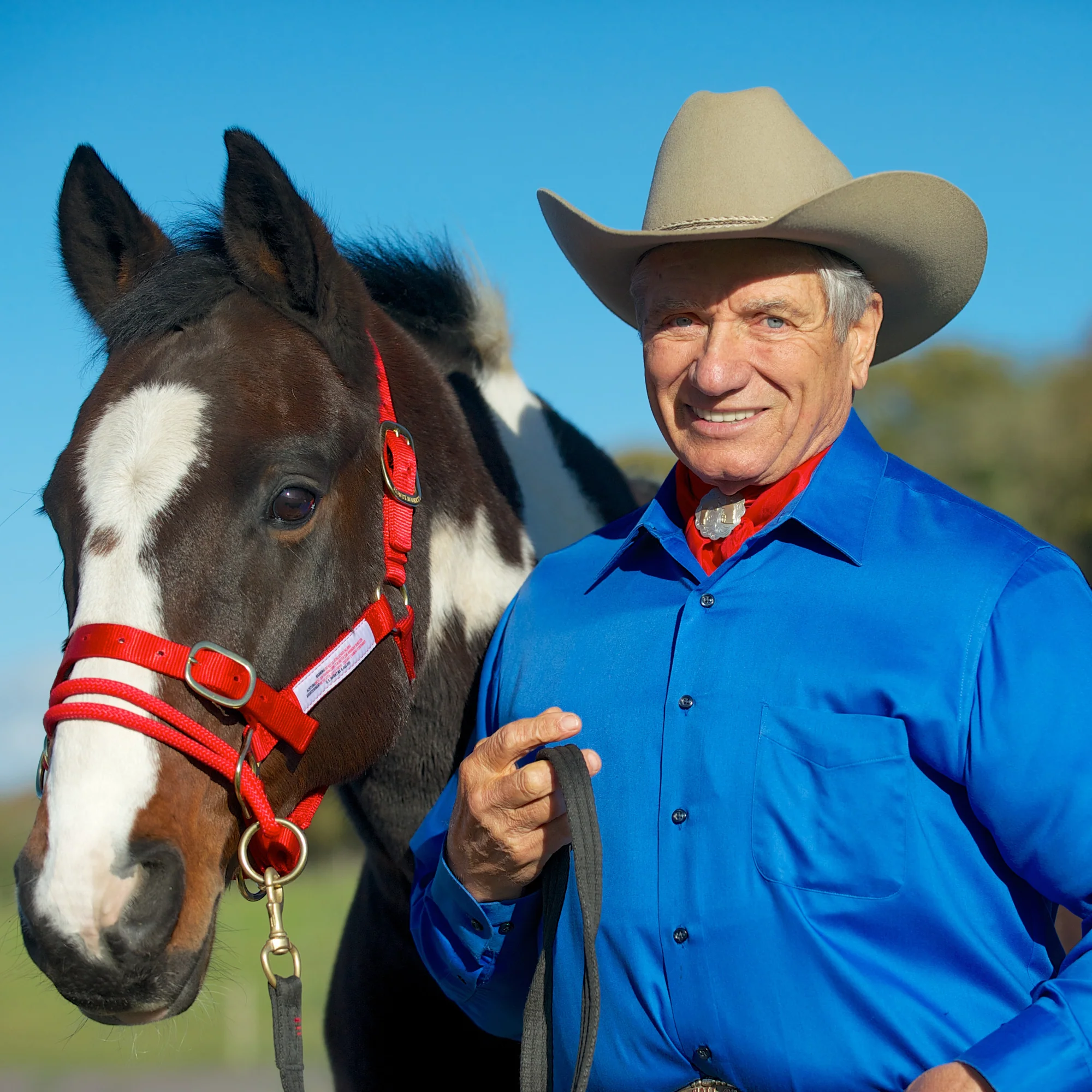 Monty Roberts with a paint horse — Flag Is Up Farms, Solvang, California