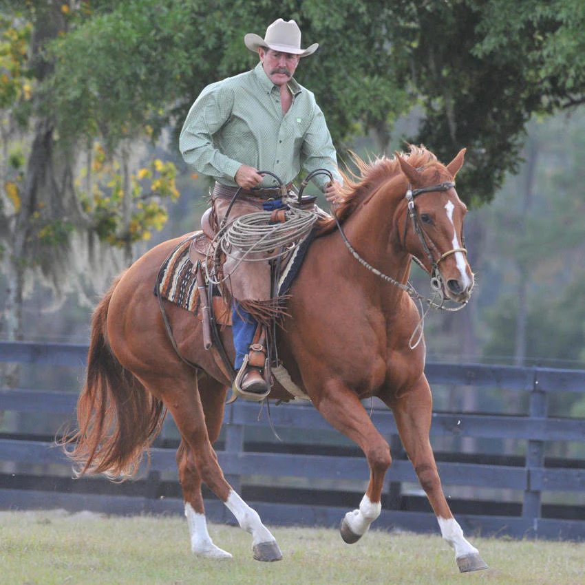 Pat Parelli riding a chestnut horse — Parelli Natural Horsemanship