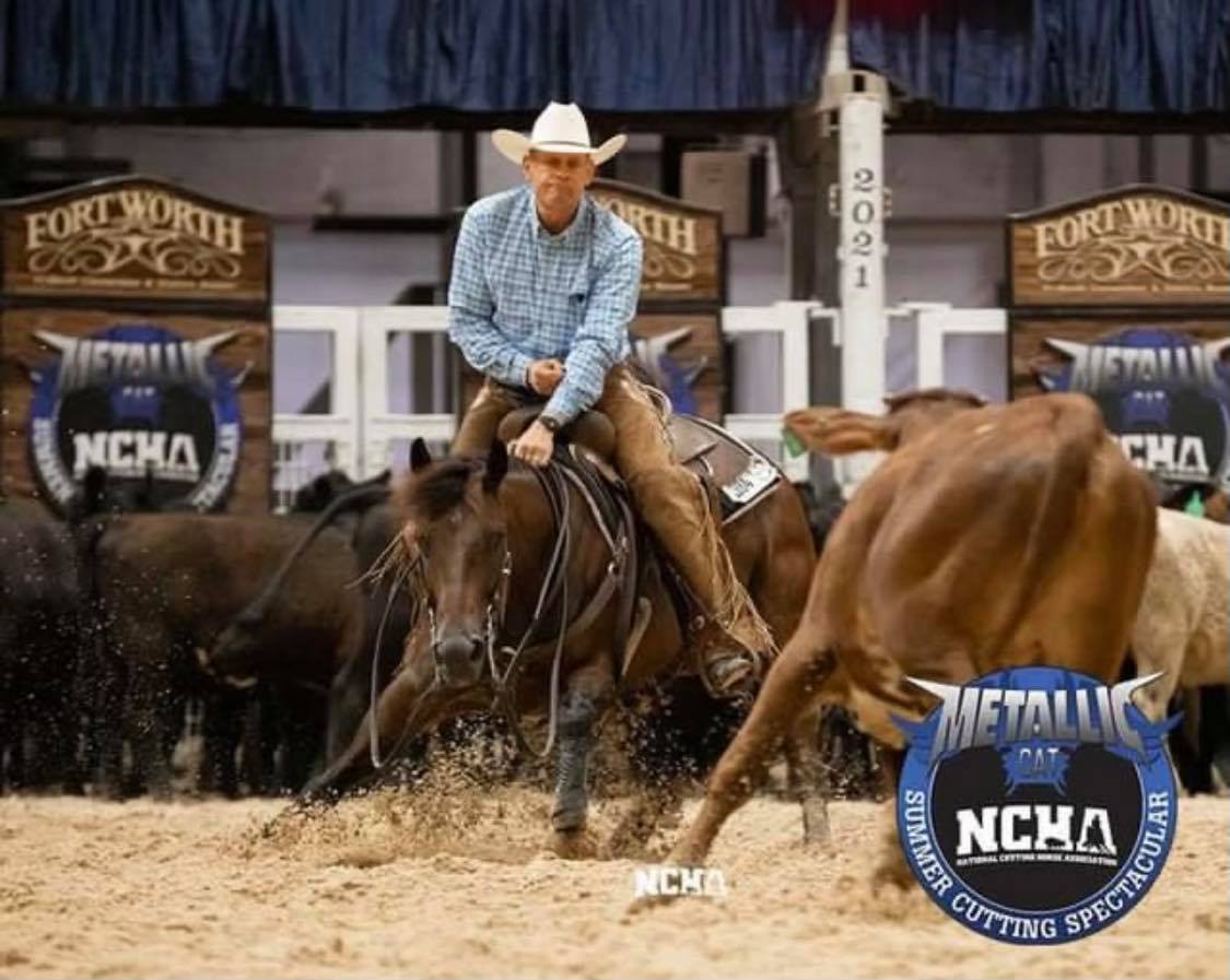 Phil Rapp competing in NCHA cutting competition