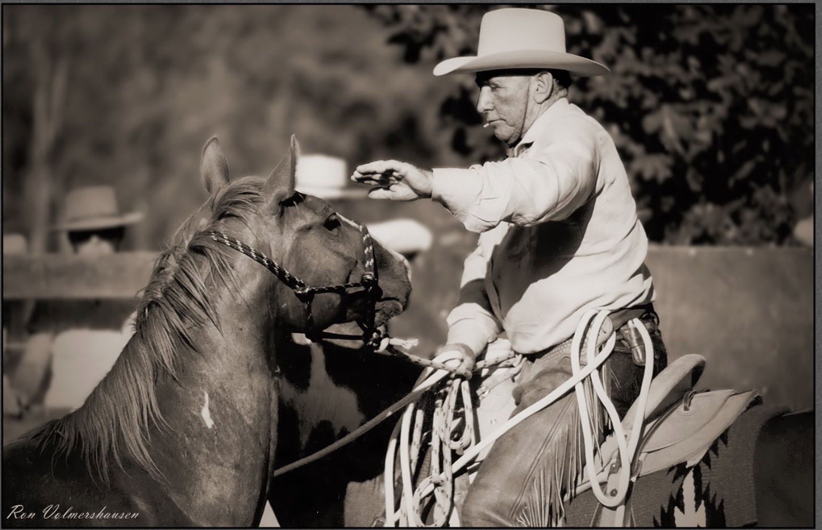 Ray Hunt working with a horse at a clinic